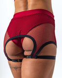 Sorte Shorts Coleus Short- Poppy Red