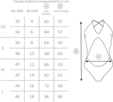 Sway Polewear Bodysuits Naomi Bodysuit- Misty Mauve